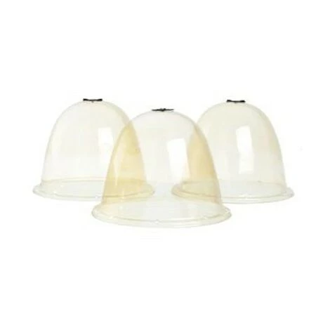 NATURE Cloches De Forçage, Diamètre Ø33.5 Cm 3 NATURE Cloches De Forçage, Diamètre Ø33.5 Cm