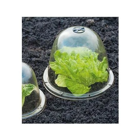 NATURE Cloches De Forçage, Diamètre Ø33.5 Cm 4 NATURE Cloches De Forçage, Diamètre Ø33.5 Cm – Image 2