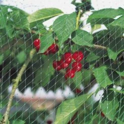 WINDHAGER Filet De Protection Anti-oiseau -Protection Pour Végétaux Soldes 10853 2