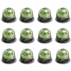 Protection Pour Végétaux Soldes -Protection Pour Végétaux Soldes 11441595 2