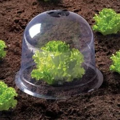 IDMARKET Cloche à Salades X12 Serre De Protection Pour Plants -Protection Pour Végétaux Soldes 11441595 3