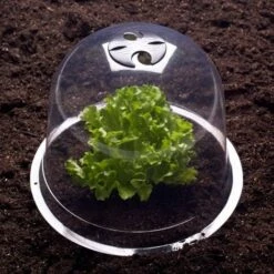 IDMARKET Cloche à Salades X12 Serre De Protection Pour Plants -Protection Pour Végétaux Soldes 11441595 4