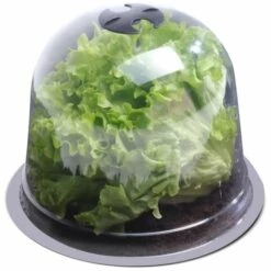 IDMARKET Cloche à Salades X12 Serre De Protection Pour Plants -Protection Pour Végétaux Soldes 11441595 5