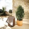 Housse D'hivernage Pour Pot De Plantes - KS 50 - Taille L - 50 Cm X Diamètre 45 Cm Bio Green -Protection Pour Végétaux Soldes 12196837 1