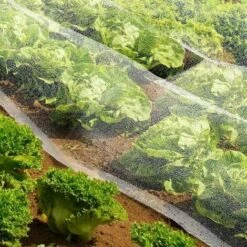 TERRE JARDIN Filet Anti Insectes