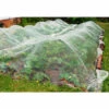 MAILLESTORE Filet Anti-insectes 50gr/m² - Sans Traitement UV 2.2m X 5m 2 MAILLESTORE Filet Anti-insectes 50gr/m² - Sans Traitement UV 2.2m X 5m -Protection Pour Végétaux Soldes 13496471 1