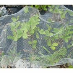 DIRECT FILET Filet Anti-insecte 45g Pour Le Potager Bioclimat | 2 X 5 M 9 DIRECT FILET Filet Anti-insecte 45g Pour Le Potager Bioclimat | 2 X 5 M -Protection Pour Végétaux Soldes 14832413 4