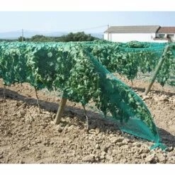 DIRECT FILET Filet Anti-oiseau 20x100m| Maille De 25mm | Vert -Protection Pour Végétaux Soldes 14832610 3