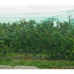 DIRECT FILET Filet Anti-oiseau 20x100m| Maille De 25mm | Vert -Protection Pour Végétaux Soldes 14832610 4