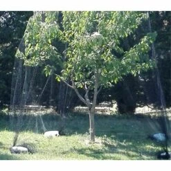 DIRECT FILET Nappe Filet Anti-oiseau| Maille De 25mm | 2 X 5 M -Protection Pour Végétaux Soldes 14832671 2