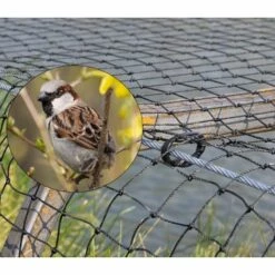 DIRECT FILET Filet Anti-Moineaux - Câblé Noué - Maille 19mm | 5 X 5 M - Pierre