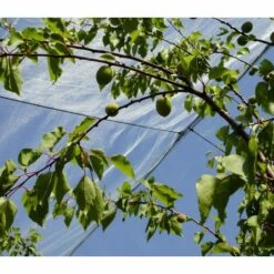 DIRECT FILET Filet Anti-grêle 10x10m Pour Caravane, Voiture Ou Arbre -Protection Pour Végétaux Soldes 14832864 4