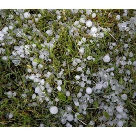 DIRECT FILET Filet Anti-grêle 8x8m Pour Caravane, Voiture Ou Arbre 4 DIRECT FILET Filet Anti-grêle 8x8m Pour Caravane, Voiture Ou Arbre – Image 2