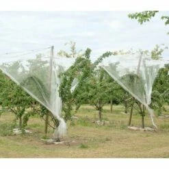 DIRECT FILET Filet Anti-grêle 8x8m Pour Caravane, Voiture Ou Arbre 9 DIRECT FILET Filet Anti-grêle 8x8m Pour Caravane, Voiture Ou Arbre -Protection Pour Végétaux Soldes 14832865 3