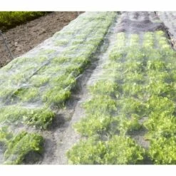 Protection Pour Végétaux Soldes -Protection Pour Végétaux Soldes 14832882 2