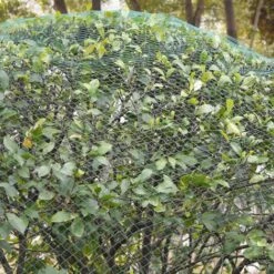 VidaXL Filets Anti-oiseaux 2 Pieces 6 X 6 M Polyethylene 9 VidaXL Filets Anti-oiseaux 2 Pieces 6 X 6 M Polyethylene -Protection Pour Végétaux Soldes 15386198 4