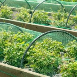 WILTEC Filet Anti-oiseaux Polyéthylène 4x5m Maille 15x15mm Résistant Intempéries Et UV Protection Bassin 7 WILTEC Filet Anti-oiseaux Polyéthylène 4x5m Maille 15x15mm Résistant Intempéries Et UV Protection Bassin -Protection Pour Végétaux Soldes 16085898 3