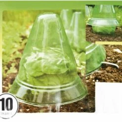 WINDHAGER Cloche Pour Plants 10pcs 7 WINDHAGER Cloche Pour Plants 10pcs -Protection Pour Végétaux Soldes 175620 3