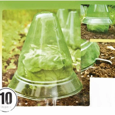 WINDHAGER Cloche Pour Plants 10pcs 5 WINDHAGER Cloche Pour Plants 10pcs – Image 3