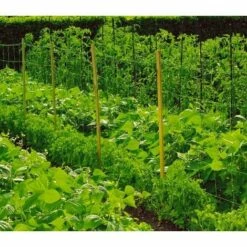 DIRECT FILET Filet à Ramer Petite Taille | 1.50 X 10 M