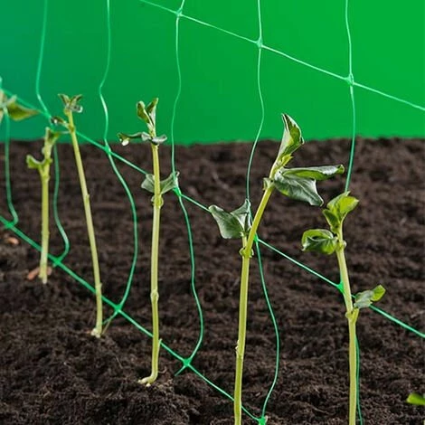 NATURE Filet à Ramer Vert 10 G/m², Dimensions 1 X 10 M - Vert 3 NATURE Filet à Ramer Vert 10 G/m², Dimensions 1 X 10 M - Vert