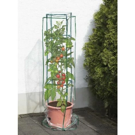 Protection De Plantes Conconvient Pour Maxitom Et Maxitom Jumbo Bio Green 4 Protection De Plantes Conconvient Pour Maxitom Et Maxitom Jumbo Bio Green – Image 2