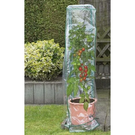 Protection De Plantes Conconvient Pour Maxitom Et Maxitom Jumbo Bio Green 5 Protection De Plantes Conconvient Pour Maxitom Et Maxitom Jumbo Bio Green – Image 3