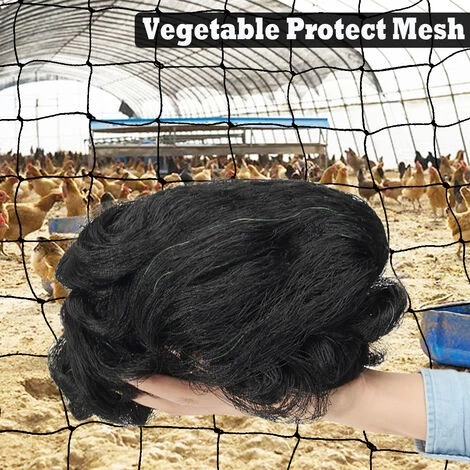 MANTA 4*12M Anti Oiseau Filet Forte Protection Filet En Nylon Cage à Légumes 3 MANTA 4*12M Anti Oiseau Filet Forte Protection Filet En Nylon Cage à Légumes