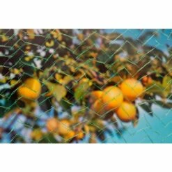 NATURE Filet Anti-oiseaux Mono HDPE Vert 7,5g/m² 5x4m -Protection Pour Végétaux Soldes 26844970 5