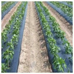 SUINGA Film Microperforado Polietileno 1,4 X 10 M, 35 Micras -Protection Pour Végétaux Soldes 27212303 3