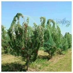 SUINGA Filet à Oiseaux Vert, 4 X 6 M, Carrés 18 Cm -Protection Pour Végétaux Soldes 27212307 2