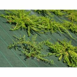 MAILLESTORE Toile De Paillage - Vert - 130gr/m² Vert 1.65m X 5m