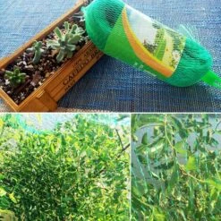 HAPPYSHOPPING Filet De Protection D'etang De Verger De Jardin De Filet A L'epreuve Des Oiseaux, Filet Vert D'etirement Simple De Brin 2 * 5m - Filet Vert D'etirement Simple De Brin 2 * 5m -Protection Pour Végétaux Soldes 28386444 2