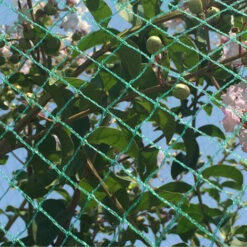 HAPPYSHOPPING Filet De Protection D'etang De Verger De Jardin De Filet A L'epreuve Des Oiseaux, Filet Vert D'etirement Simple De Brin 2 * 5m - Filet Vert D'etirement Simple De Brin 2 * 5m -Protection Pour Végétaux Soldes 28386444 4