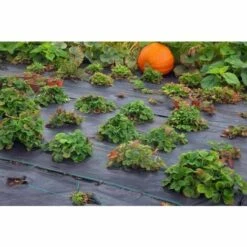 AQUAGART 16 M² Tissu De Sol, Film Anti-mauvaises Herbes, Film De Paillage, 100 G, 1,65 M De Large -Protection Pour Végétaux Soldes 29736421 5