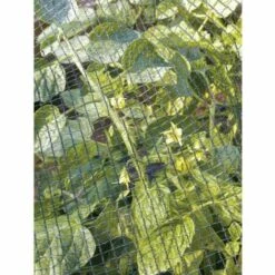 TENAX Filet De Protection 2x5m