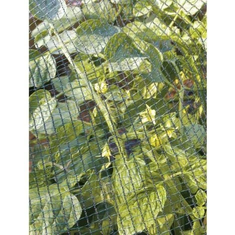 TENAX Filet De Protection 2x5m 3 TENAX Filet De Protection 2x5m