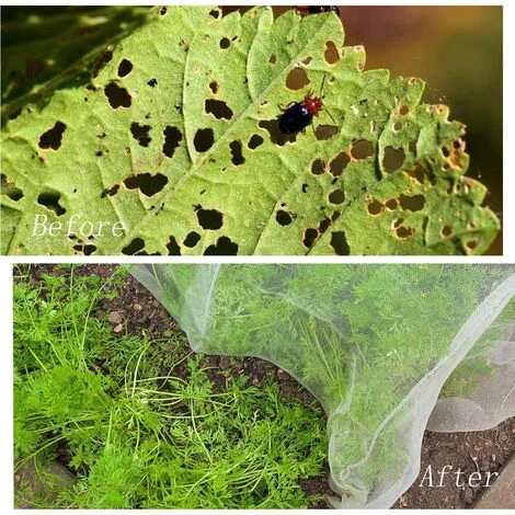BEARSU Filet De Protection Contre Les Insectes, Jardin Filet Maille, Filet De Protection Contre Les Insectes Et Les Oiseaux, Contre Les Insectes Moustique Oiseau Barrière, Maille De Légumes(2.5 X 6m) 4 BEARSU Filet De Protection Contre Les Insectes, Jardin Filet Maille, Filet De Protection Contre Les Insectes Et Les Oiseaux, Contre Les Insectes Moustique Oiseau Barrière, Maille De Légumes(2.5 X 6m) – Image 2