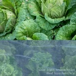 BEARSU Filet De Protection Contre Les Insectes, Jardin Filet Maille, Filet De Protection Contre Les Insectes Et Les Oiseaux, Contre Les Insectes Moustique Oiseau Barrière, Maille De Légumes(2.5 X 6m) 9 BEARSU Filet De Protection Contre Les Insectes, Jardin Filet Maille, Filet De Protection Contre Les Insectes Et Les Oiseaux, Contre Les Insectes Moustique Oiseau Barrière, Maille De Légumes(2.5 X 6m) -Protection Pour Végétaux Soldes 31607598 3