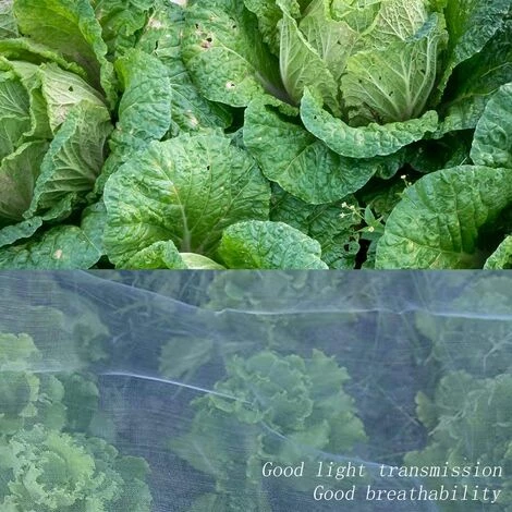 BEARSU Filet De Protection Contre Les Insectes, Jardin Filet Maille, Filet De Protection Contre Les Insectes Et Les Oiseaux, Contre Les Insectes Moustique Oiseau Barrière, Maille De Légumes(2.5 X 6m) 5 BEARSU Filet De Protection Contre Les Insectes, Jardin Filet Maille, Filet De Protection Contre Les Insectes Et Les Oiseaux, Contre Les Insectes Moustique Oiseau Barrière, Maille De Légumes(2.5 X 6m) – Image 3