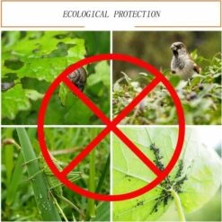 BEARSU Filet De Protection Contre Les Insectes, Jardin Filet Maille, Filet De Protection Contre Les Insectes Et Les Oiseaux, Contre Les Insectes Moustique Oiseau Barrière, Maille De Légumes(2.5 X 6m) 11 BEARSU Filet De Protection Contre Les Insectes, Jardin Filet Maille, Filet De Protection Contre Les Insectes Et Les Oiseaux, Contre Les Insectes Moustique Oiseau Barrière, Maille De Légumes(2.5 X 6m) -Protection Pour Végétaux Soldes 31607598 5