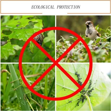 BEARSU Filet De Protection Contre Les Insectes, Jardin Filet Maille, Filet De Protection Contre Les Insectes Et Les Oiseaux, Contre Les Insectes Moustique Oiseau Barrière, Maille De Légumes(2.5 X 6m) 7 BEARSU Filet De Protection Contre Les Insectes, Jardin Filet Maille, Filet De Protection Contre Les Insectes Et Les Oiseaux, Contre Les Insectes Moustique Oiseau Barrière, Maille De Légumes(2.5 X 6m) – Image 5