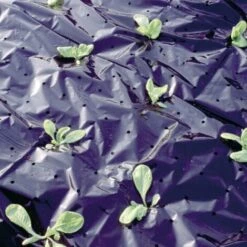 PRIMAFLORA Film De Paillage, 1,5 X 10 M Prima Flora