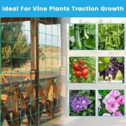 Kueatily Filet De Jardin, Filet à Plantes Grimpantes, Filet à Ramer Pour Récolte De Concombres, Légume, Tomates Et Autres Légumes, Filet De Fixation Pour Plantes Grimpantes (1.8 X 5m) 10 Kueatily Filet De Jardin, Filet à Plantes Grimpantes, Filet à Ramer Pour Récolte De Concombres, Légume, Tomates Et Autres Légumes, Filet De Fixation Pour Plantes Grimpantes (1.8 X 5m) -Protection Pour Végétaux Soldes 33302265 4