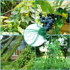 Kueatily Filet De Jardin, Filet à Plantes Grimpantes, Filet à Ramer Pour Récolte De Concombres, Légume, Tomates Et Autres Légumes, Filet De Fixation Pour Plantes Grimpantes (1.8 X 5m) 11 Kueatily Filet De Jardin, Filet à Plantes Grimpantes, Filet à Ramer Pour Récolte De Concombres, Légume, Tomates Et Autres Légumes, Filet De Fixation Pour Plantes Grimpantes (1.8 X 5m) -Protection Pour Végétaux Soldes 33302265 5