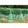 EDM Filet Anti-oiseaux 4x5mts Arbres Fruitiers Idéaux -Protection Pour Végétaux Soldes 34076017 1