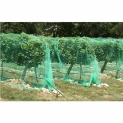 EDM Filet Anti-oiseaux 4x5mts Arbres Fruitiers Idéaux