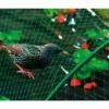 NORTENE Filet De Protection Oiseaux - 8 M X 10 M -Protection Pour Végétaux Soldes 34690734 1