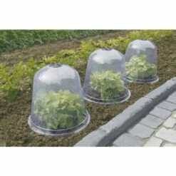NORTENE Cloche De Forçage Avec Aération - Lot De 3 Pièces