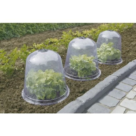 NORTENE Cloche De Forçage Avec Aération - Lot De 3 Pièces 3 NORTENE Cloche De Forçage Avec Aération - Lot De 3 Pièces